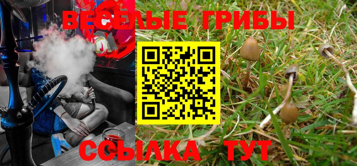 Псилоцибиновые грибы Magic Shrooms Асбест