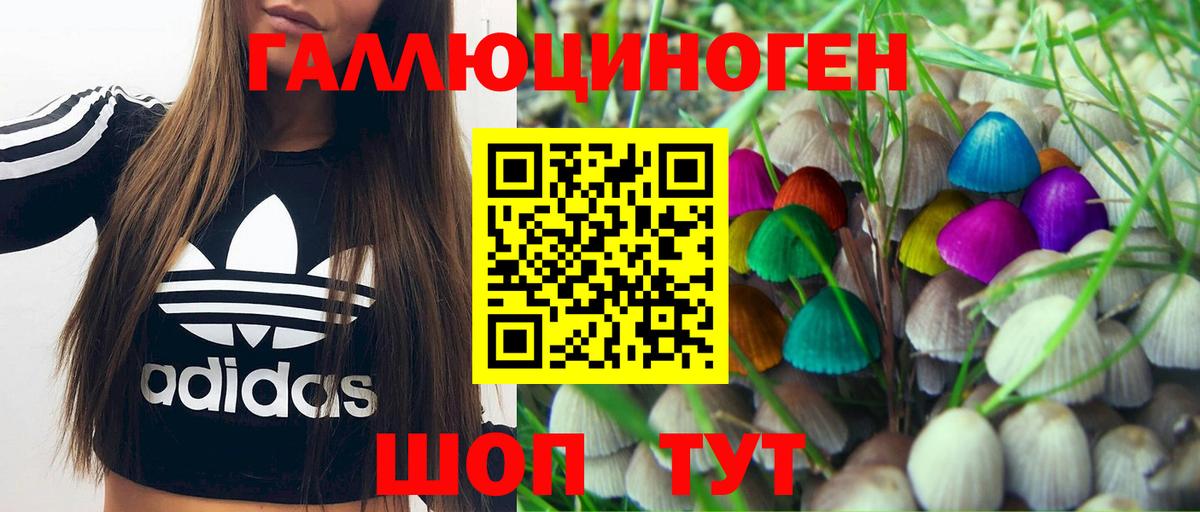 Асбест  Псилоцибиновые грибы GOLDEN TEACHER  Вход с VPN 